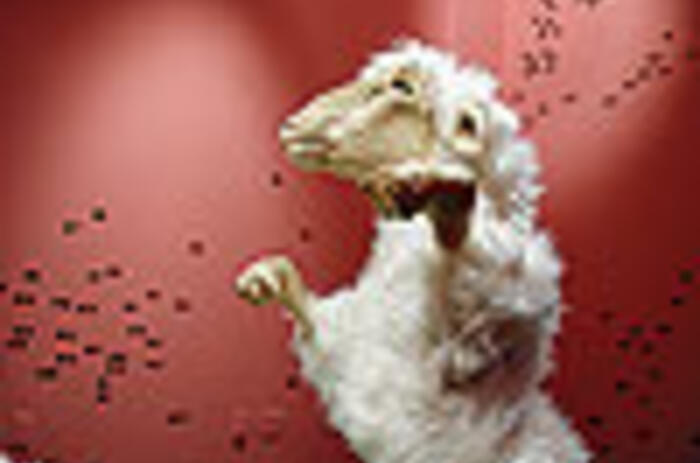 REVIEWS - LUIS VIDAL