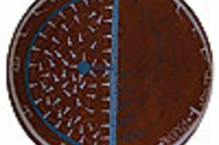 REVIEWS - JOSÉ BEDIA