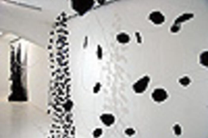 REVIEWS - LUIS LIZARDO