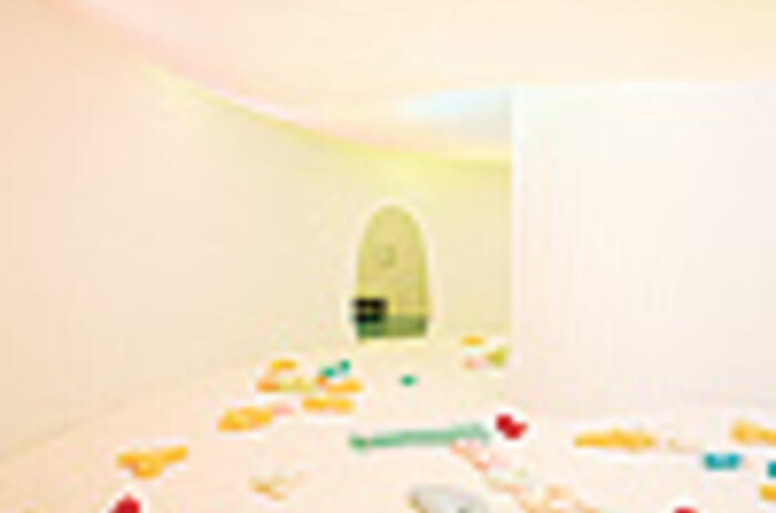REVIEWS - ERNESTO NETO