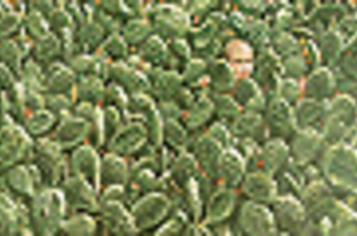 REVIEWS - JOSÉ GARCIA CORDERO