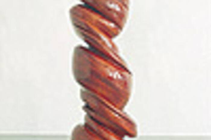 REVIEWS - TONY CRAGG