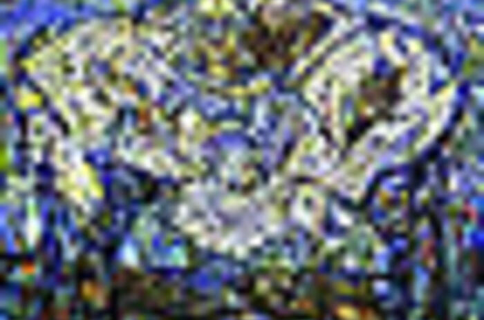 Arnaldo Roche Rabell