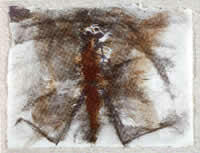 "Insectario H", acuarela s/papel, 23.5 x 30.5 cm, 1997