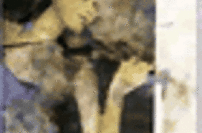 María Paz Valdivieso