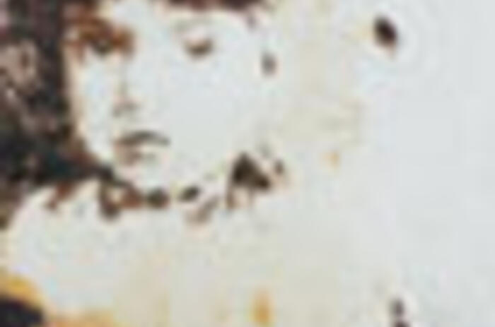 El arte Democrático